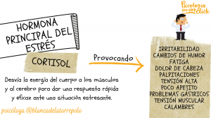 estrés_hormonas_cortisol_irritabilidad
